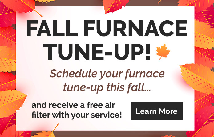 fall-furnace-tune-up-bi-temp-limited